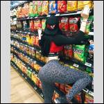 pantalons bien port?s.... - #1730355-2
