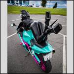 pantalons bien port?s.... - #1735015-2