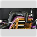 pantalons bien port?s.... - #1735803-2