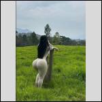 pantalons bien port?s.... - #1990886-3