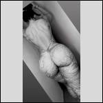 pantalons bien port?s.... - #1997972-2