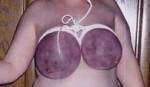 Purple Tits 02