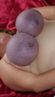 Purple Tits 03