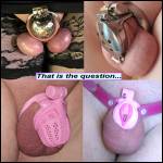 Just become a slave in chastity yesterday and very excited - #1987073-4
