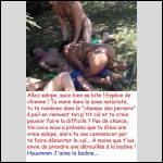 Le champs des pervers est aussi le coin des salopes…