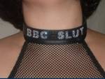 collared.jpg