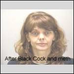 arrest picture for meth