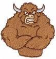 NOT REAL BULL