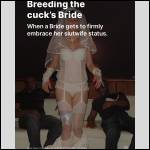 Just Married/ Just Gangbanged - #1998185-1