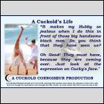 A Cuckold's Life1