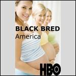 Black Bred America1