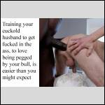 Training Your Cuckold