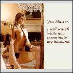 Yes Master Yes Master