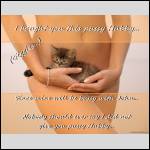 pussy