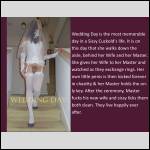 Open thread for Chastity, Cuckold, Sissy, Transgender and FemDomme cap - #2001010-3
