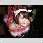 good pig !! - #1981661-1
