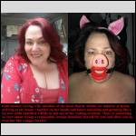 good pig !! - #1985679-1
