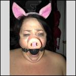 good pig !! - #1992702-1