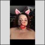 good pig !! - #1997987-2