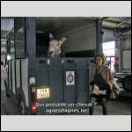 Qui possède un cheval ?