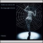The Web