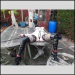 Dressed for action - #1563048-4