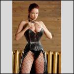 Dressed for action - #1563928-4