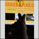 verification thing