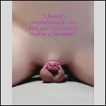 A few Chastity pictures - #1993639-3
