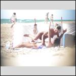 SALOPES EN VACANCES ... /... SLUTS IN HOLIDAYS - #1984851-1