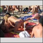 SALOPES EN VACANCES ... /... SLUTS IN HOLIDAYS - #1997546-1
