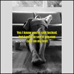 INDECENT Captions - #1985660-2