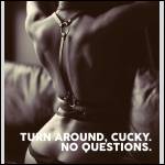 INDECENT Captions - #2001169-3
