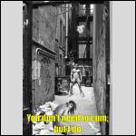 INDECENT Captions (Interracial Edition!) - #1981441-1