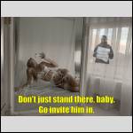 INDECENT Captions (Interracial Edition!) - #1990831-2