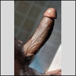 BigBlackCock649