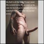 My Bull