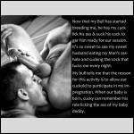 Participation Trophy