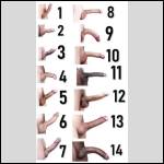 Which dick will you choose for your partner in cuckolding